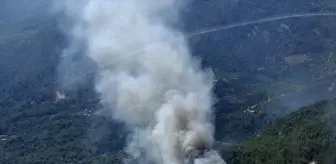 Antalya'da Orman Yangınına Hava ve Karadan Müdahale