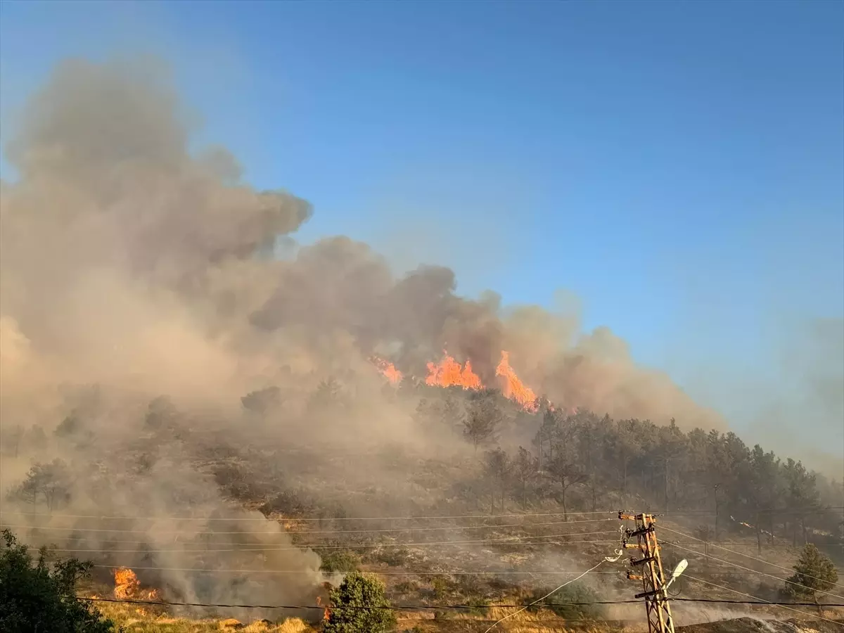 Antalya'da Orman Yangınına Müdahale Ediliyor