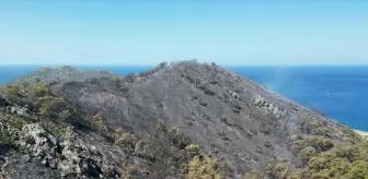 Gazipaşa'daki Orman Yangını Kontrol Altına Alındı