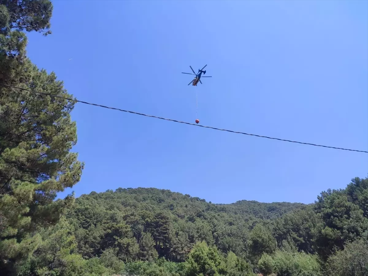 Antalya'nın Kaş İlçesinde Orman Yangını Kontrol Altında