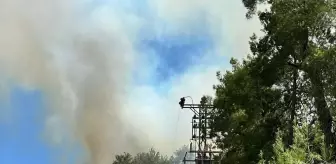 Manavgat'ta Orman Yangınına Müdahale Ediliyor