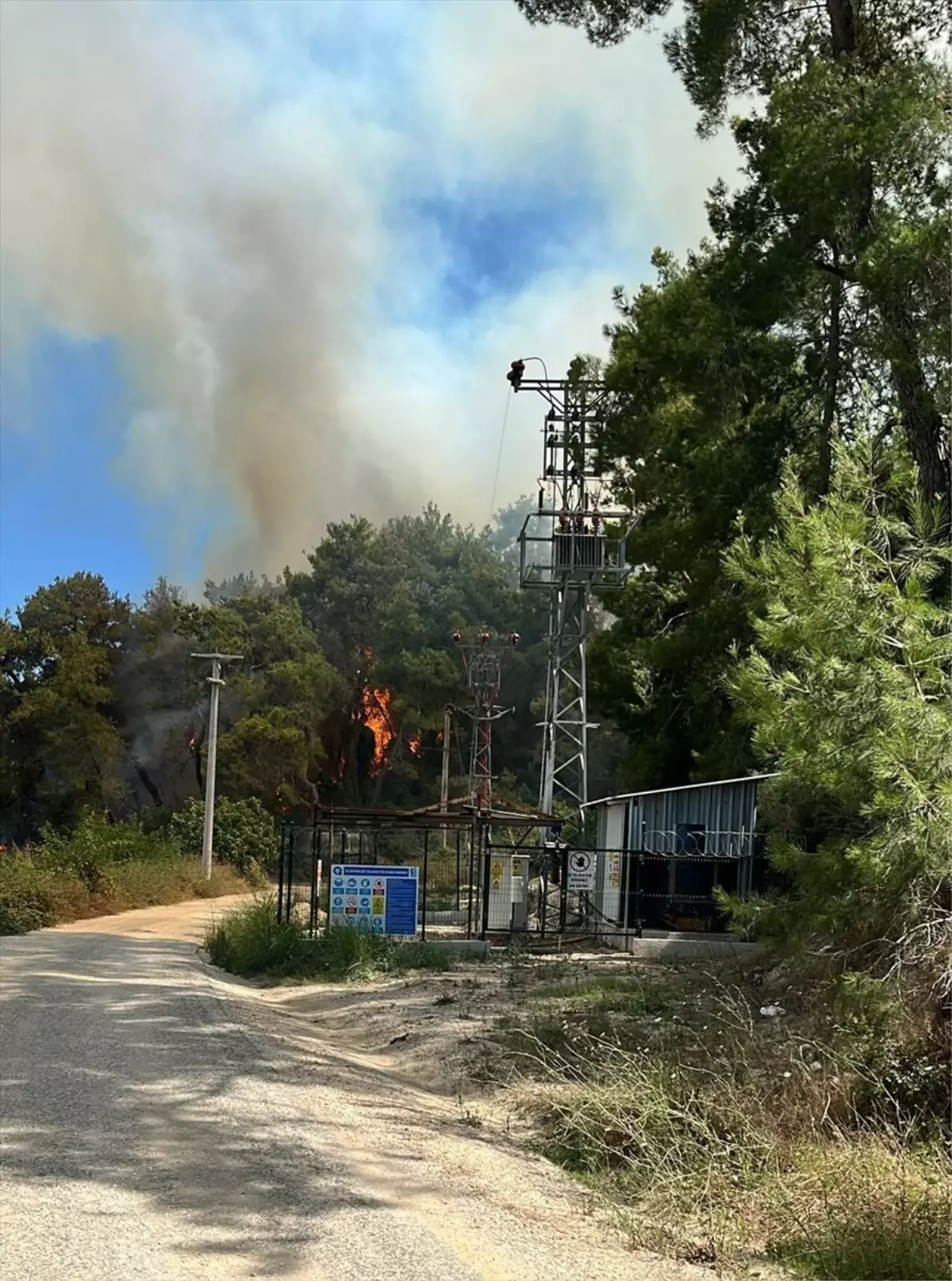 Manavgat'ta Orman Yangınına Müdahale Ediliyor