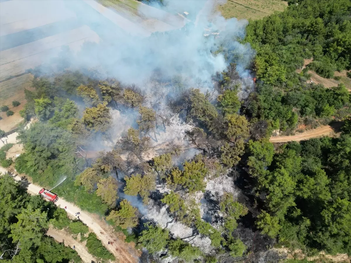 Manavgat'ta Orman Yangını Kontrol Altına Alındı