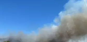 Antalya'da Orman Yangınına Havan ve Karadan Müdahale