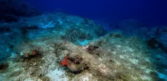 Kaş'taki Besmi Adası'nda Antik Gemi Batığına Dalış Heyecanı