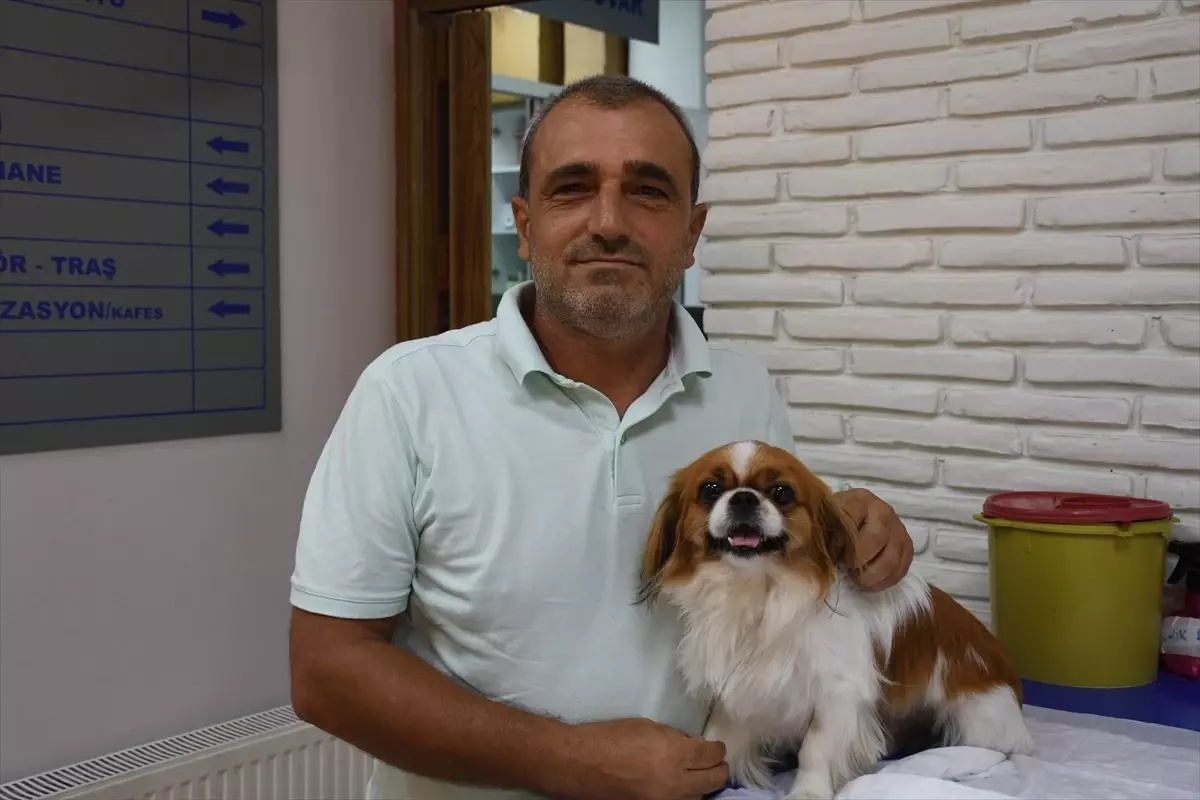 Lucky, 8 Aylık Tedavi Sonrası Yürümeye Başladı