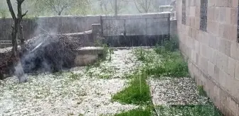 Ardahan'ın Posof ilçesinde dolu ve sağanak etkili oldu
