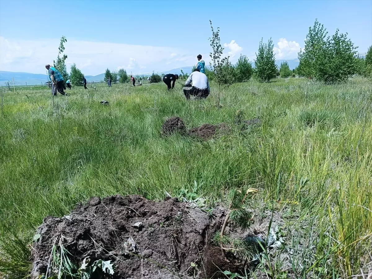 Ardahan'da Fidan Dikim Etkinliği Düzenlendi