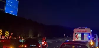 Ardahan'da Trafik Kazası: 4 Yaralı