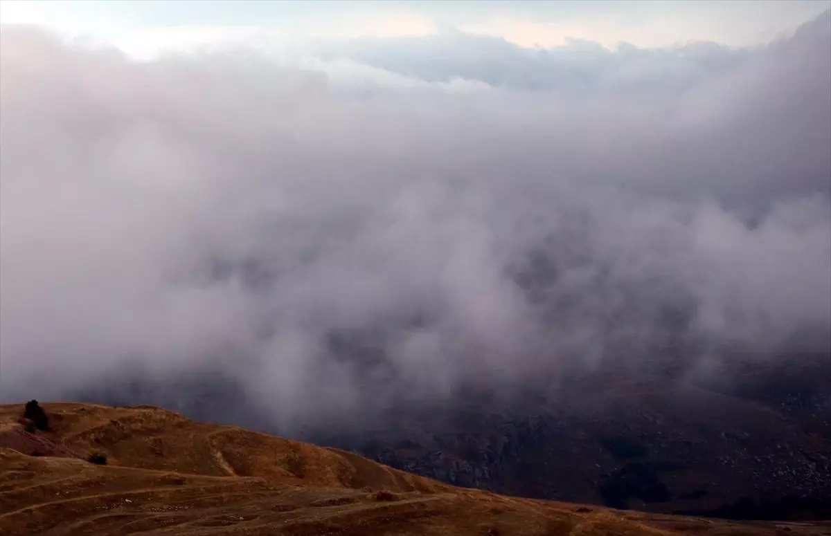 Ardahan'da Sis ve Sağanak Etkili Oluyor