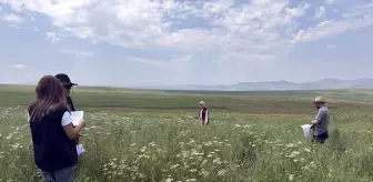 Ardahan'da Tarımsal Destekler İçin Sahada Çalışma Yapıldı