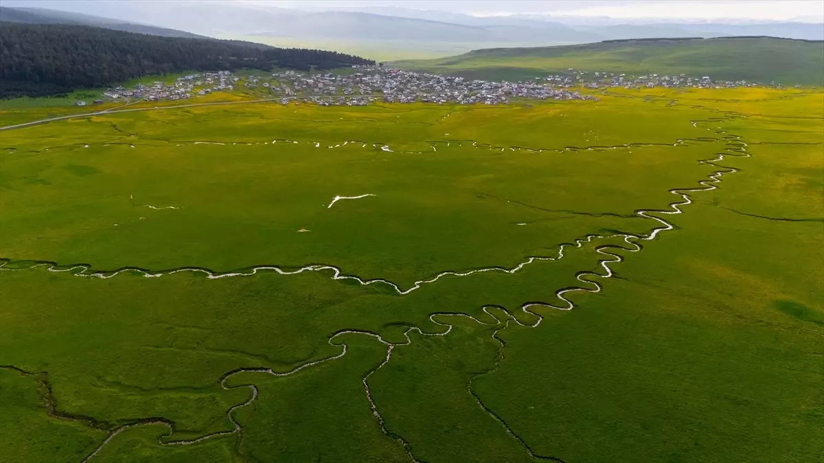 Ardahan'da İlkbahar Güzellikleri: Mendereslerle Renk Cümbüşü