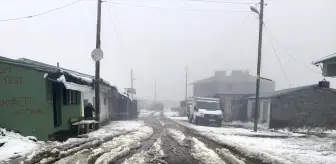 Ardahan ve Kars'ta Kar Yağışı ve Sis Etkili Oldu