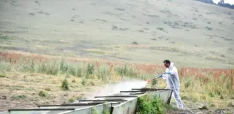 Ardahan Valisi, Şap Hastalığıyla Mücadele Çalışmalarını İnceletti