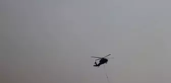 Arnavutluk'ta Orman Yangınlarıyla Mücadele Sürüyor