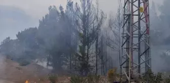 Hatay'da Orman Yangını Kontrol Altına Alındı