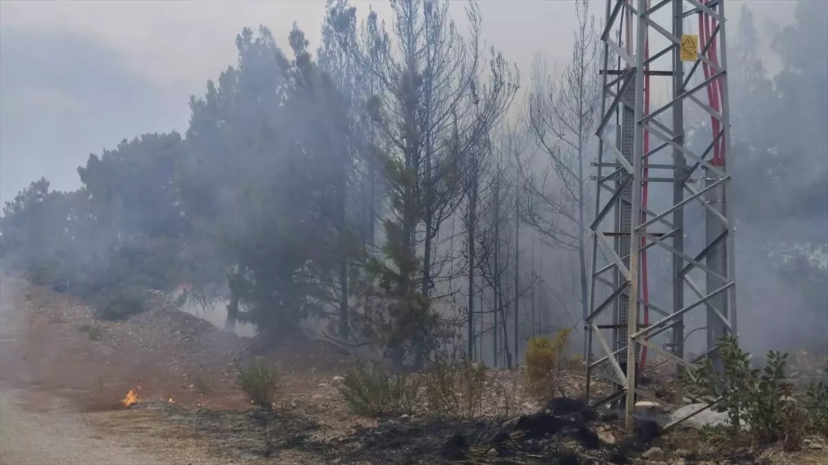 Hatay'da Orman Yangını Kontrol Altına Alındı