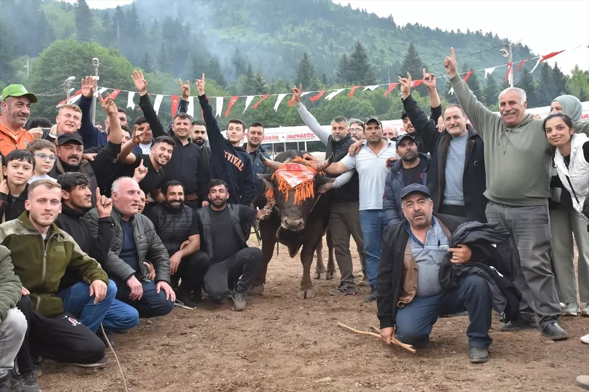 Artvin'de 44. Kafkasör Festivali Boğa Güreşleri ile Sona Erdi