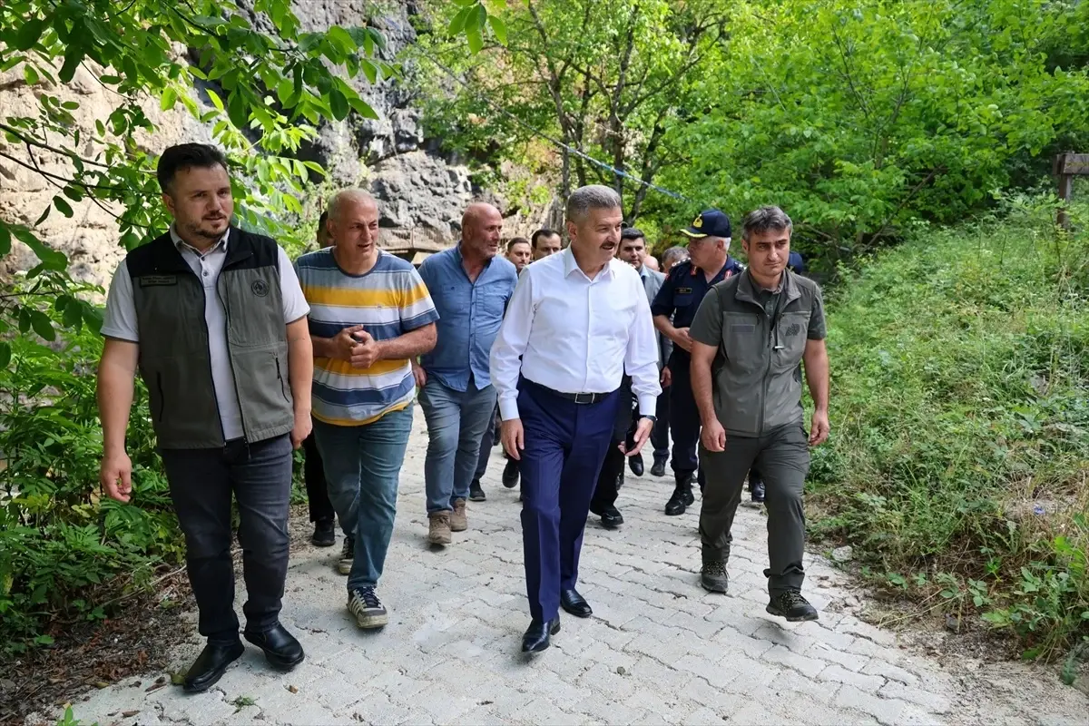 Artvin'de 5 Bin Kırmızı Benekli Alabalık Yavrusu Dereye Salındı