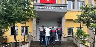 Artvin'de Uyuşturucu Operasyonu: 1 Tutuklama