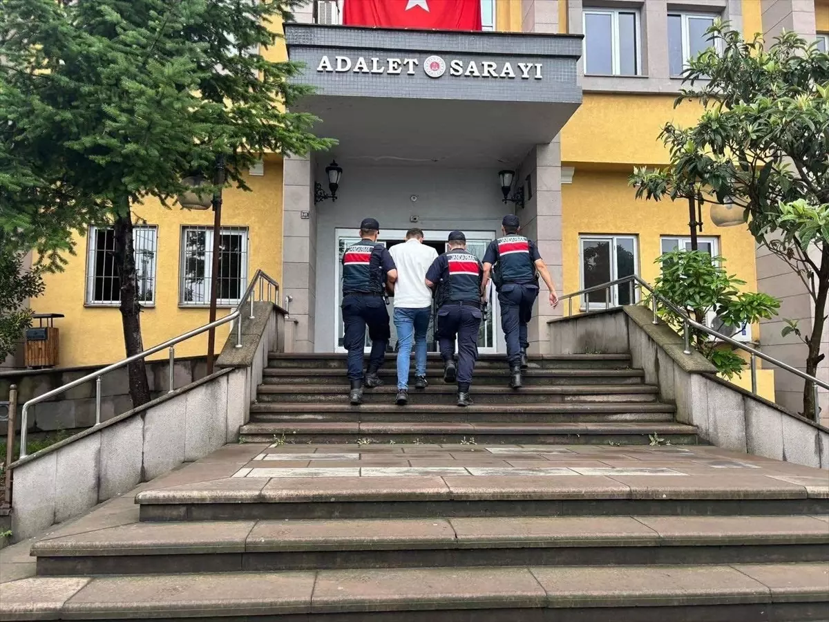 Artvin'de Uyuşturucu Operasyonu: 1 Tutuklama