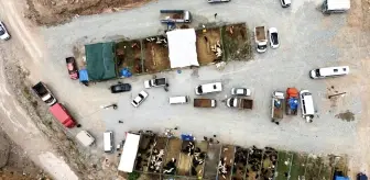 Artvin'de Kurban Bayramı Hazırlıkları Başladı