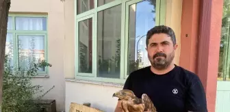 Sıcak Hava Yaban Hayvanlarını Etkiliyor: Trakya Üniversitesi'nde Kuşlar Bitkin Düşüyor