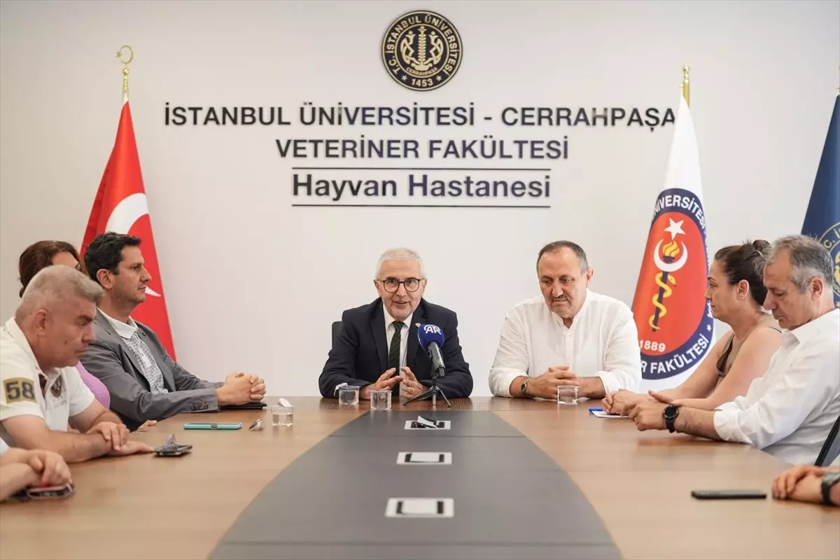 Askerlikte Kan Kanserinden Hayatını Kaybeden Mevlüt Yazı'nın Diploması 33 Yıl Sonra Ağabeyine Teslim Edildi