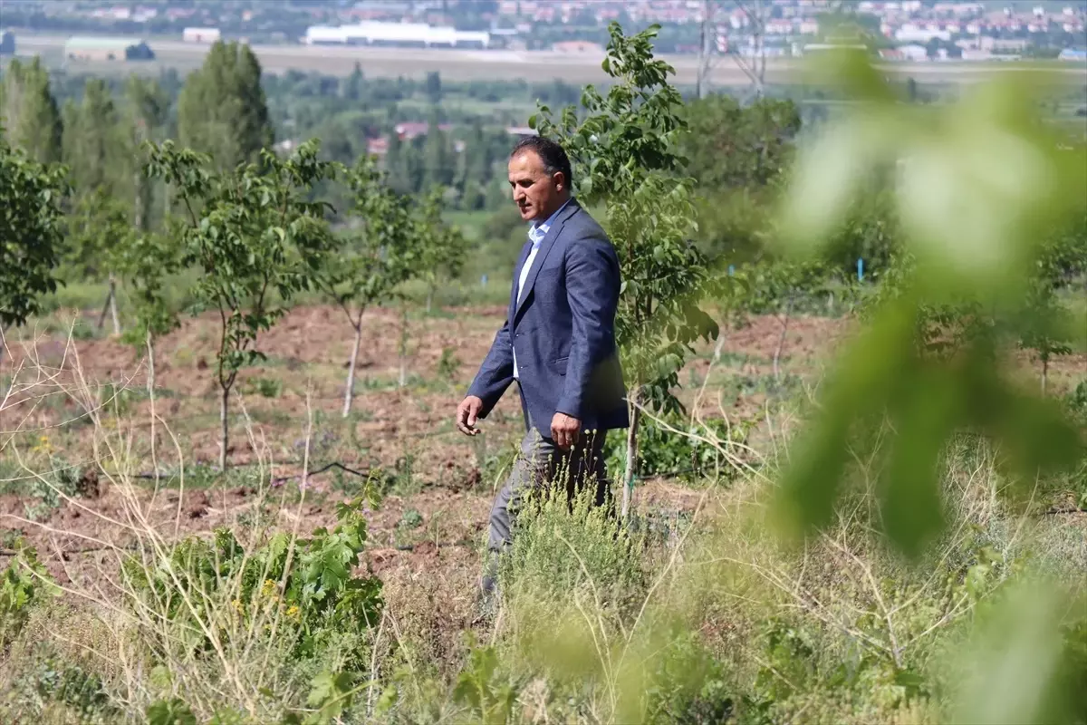 Güneş Enerjisiyle Sürdürülebilir Tarım Modeli: Erzincan'da Örnek Çalışma