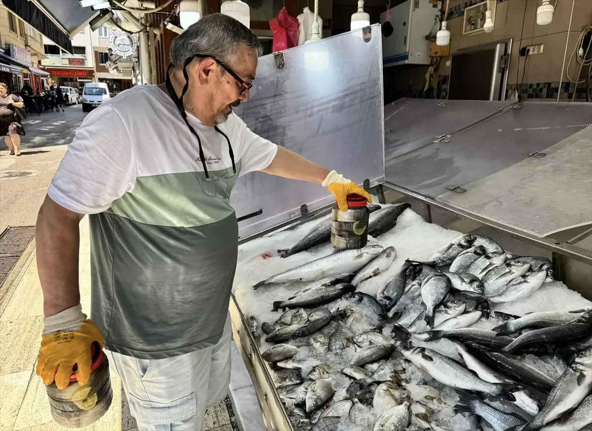 Sinop'un Coğrafi İşaretli Lakerdası Talepleri Karşılıyor