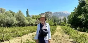 Gurbetçi Çiftçi, Isparta'da Aronya Üretimine Geçti