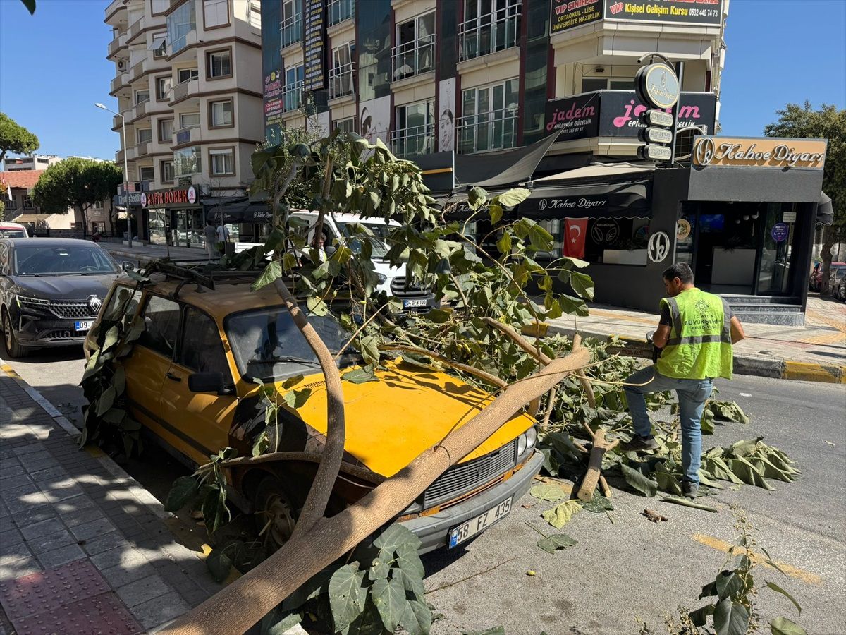 Ağaç Dalı Otomobilin Üzerine Düştü