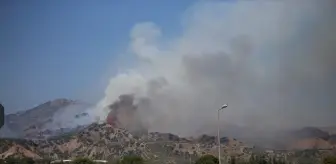 Aydın'ın Efeler İlçesinde Ağaçlık Alanda Yangın Çıktı