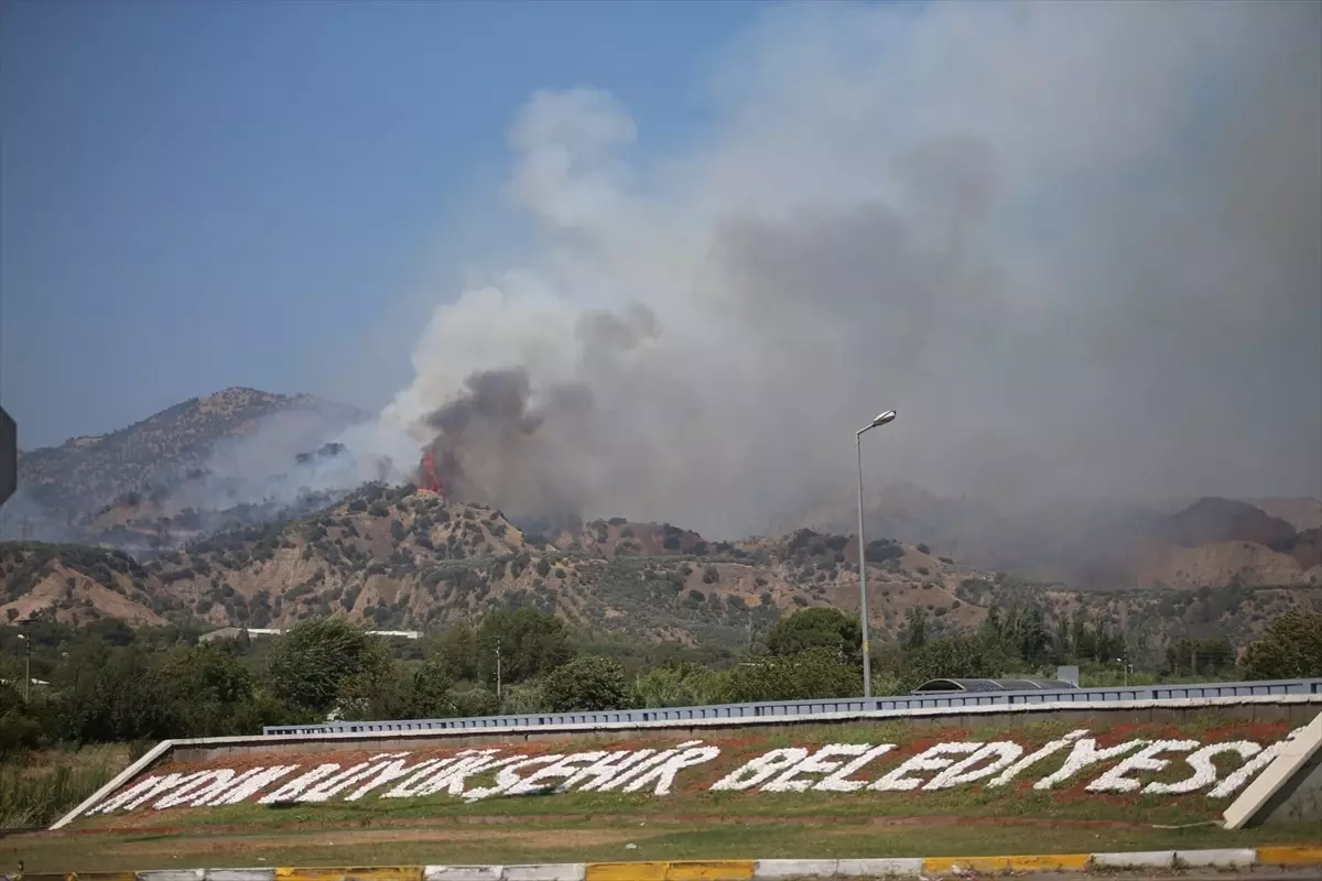 Aydın'ın Efeler İlçesinde Ağaçlık Alanda Yangın Çıktı