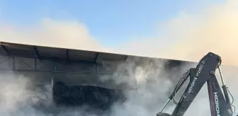 Aydın'da Çiftlikte Yangın: 4 Hayvan Telef Oldu, 150 Ton Saman Yanarak Yok Oldu