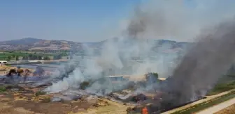 Aydın'da Otluk Alanda Yangın Çıktı