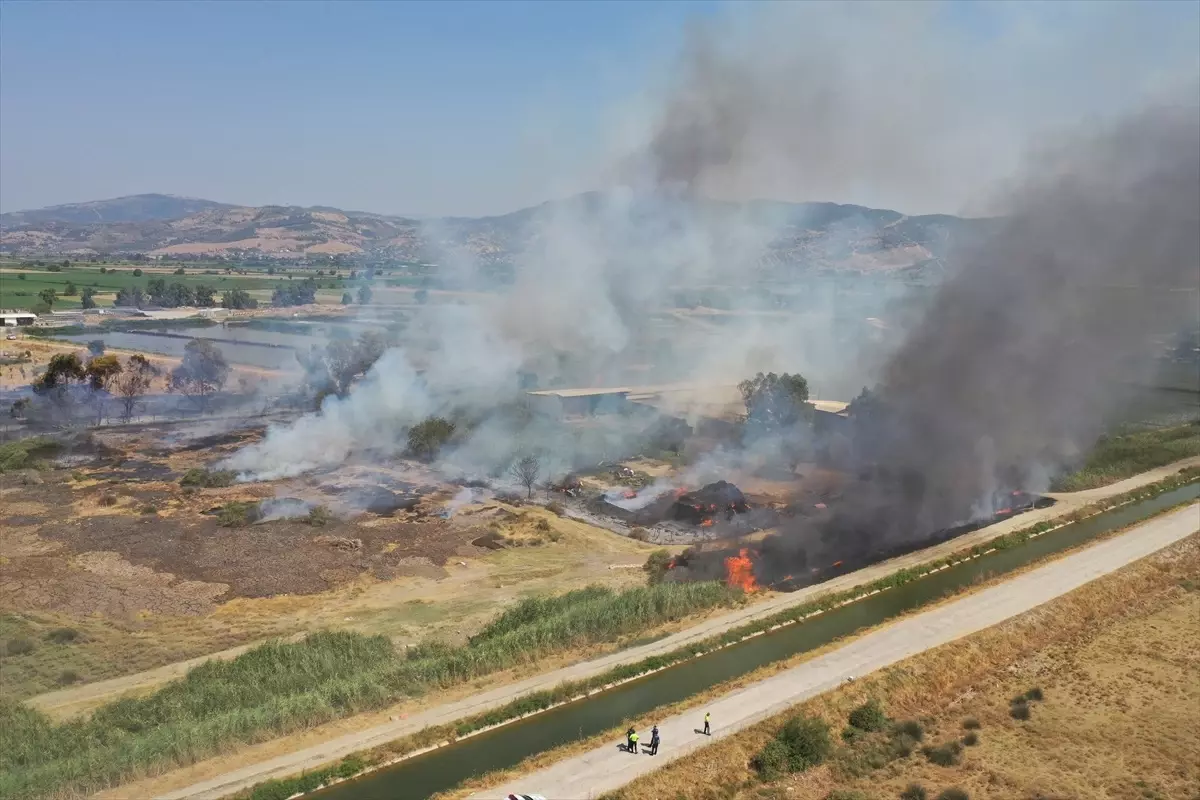 Aydın'da Otluk Alanda Yangın Çıktı