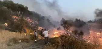 Aydın'da Otoyolda Yangın: Kamyon Alev Alev Yandı