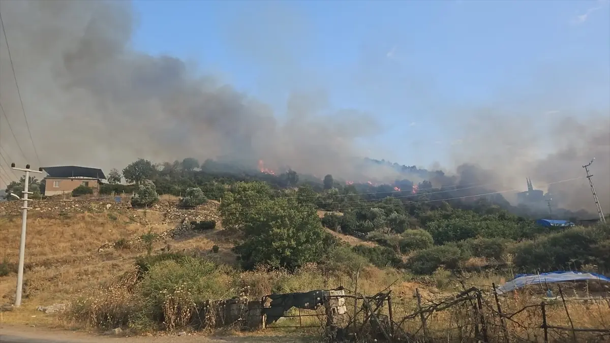 Aydın'da Tarım Alanında Yangın: 50 Dönüm Zarar Gördü