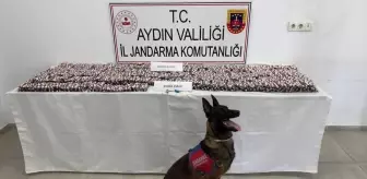 Aydın'da Uyuşturucu Operasyonu: 3 Şüpheli Tutuklandı