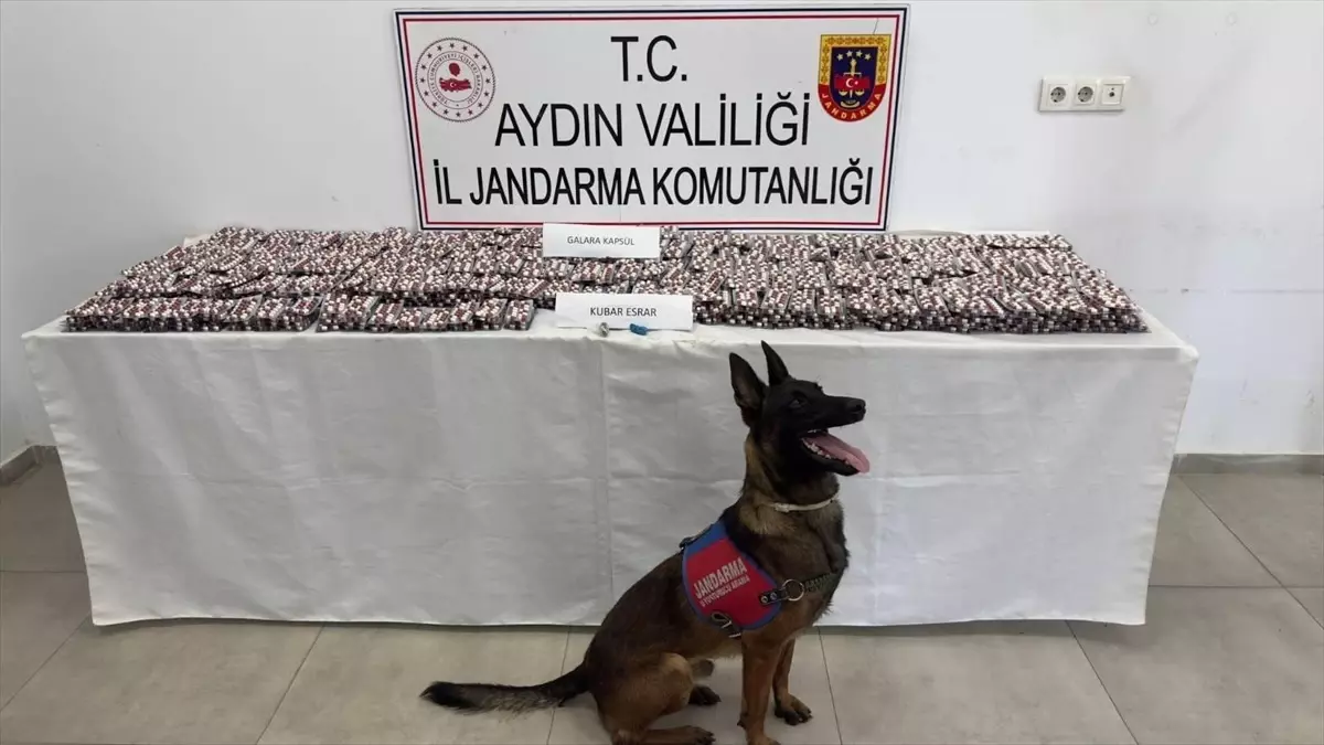 Aydın'da Uyuşturucu Operasyonu: 3 Şüpheli Tutuklandı