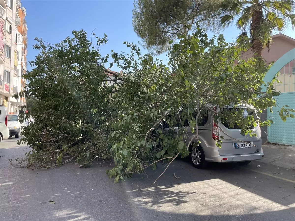 Dut Ağacının Devrilmesi Trafiği Olumsuz Etkiledi