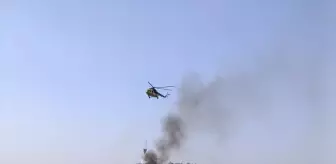 Aydın'da Zeytinlik Alanda Yangın: 30 Dekar Zarar Gördü