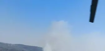 Söke'de Ziraat Alanında Yangın: Havadan ve Karadan Mücadele