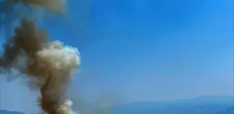 Aydın'da Ziraat Alanında Yangın Çıktı