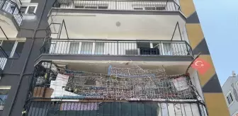 Çöp evden 4 kamyon atık, 12 kedi ve 3 kaplumbağa çıktı