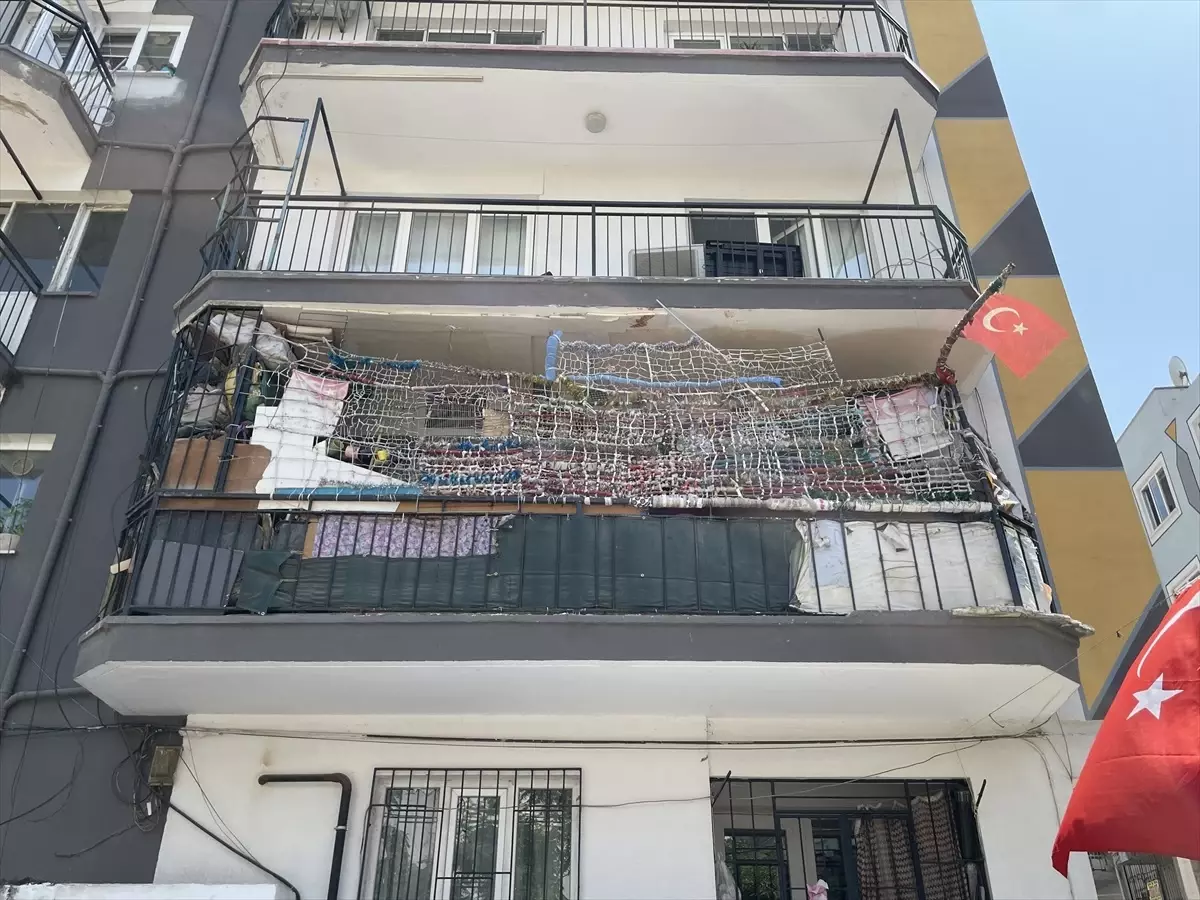 Çöp evden 4 kamyon atık, 12 kedi ve 3 kaplumbağa çıktı