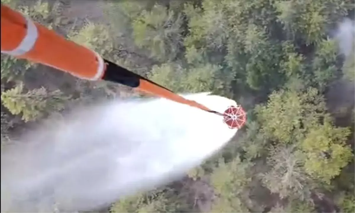 Aydın'da Orman Yangını Kontrol Altına Alındı