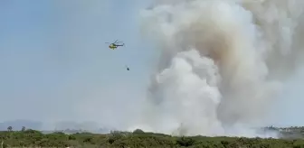 Aydın'da Çıkan Yangınlar Kontrol Altına Alındı