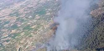 Aydın'da Tarım Alanında Yangın Çıktı